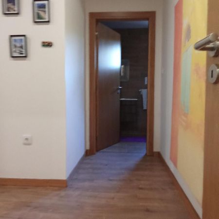 Suites Passadicos Do Paiva E Ponte Suspensa Cinfães Exterior foto